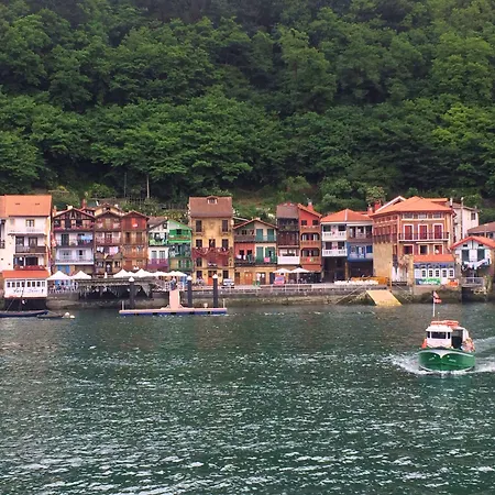 Trueba San Sebastián