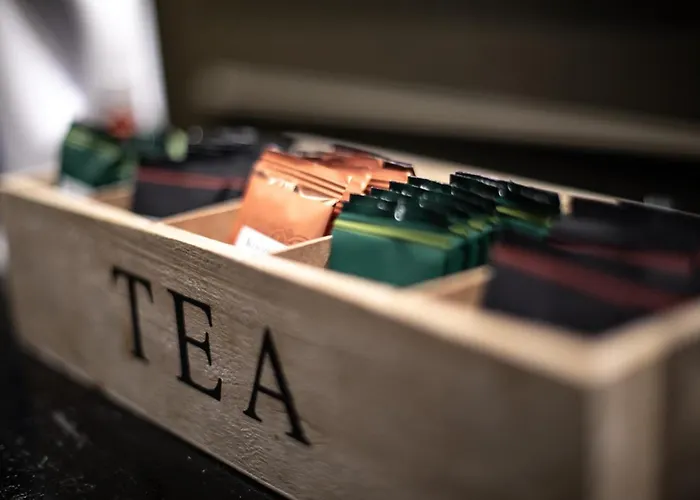 Trueba 2* San Sebastián