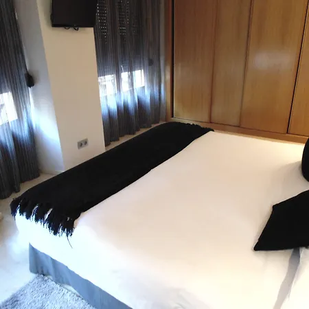 Trueba سان سيباستيان