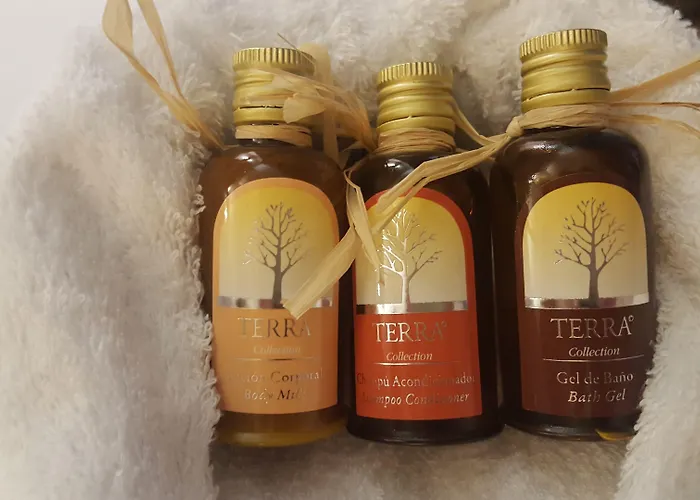 Отель Trueba 2*