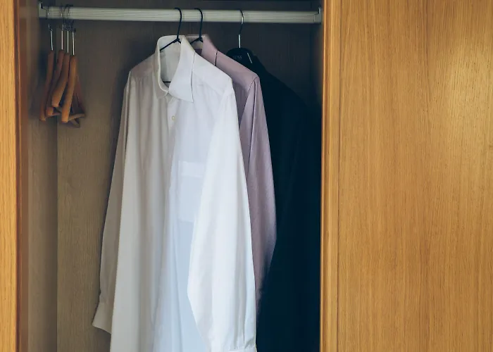 Trueba סן סבסטיאן