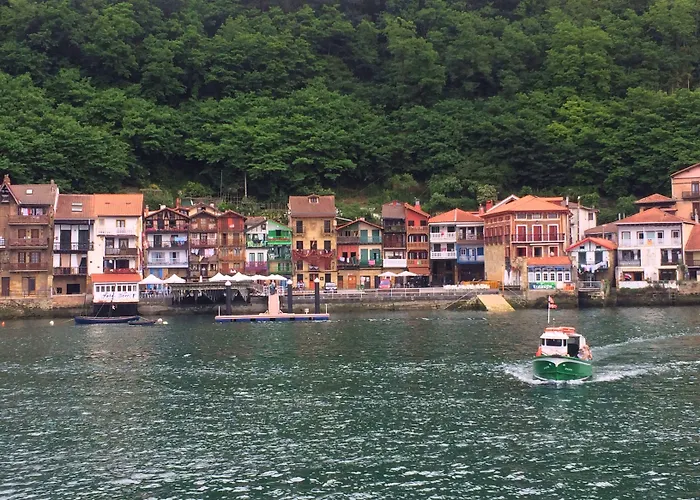 Trueba San Sebastian